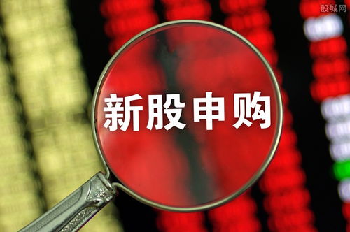 愛威科技今日開啟申購，單一賬戶上限4000股，專注網(wǎng)絡(luò)技術(shù)軟件研發(fā)與銷售